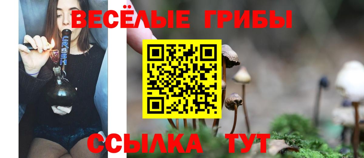 Псилоцибиновые грибы прущие грибы  Псилоцибиновые грибы мухоморы  Вход с VPN  Псков 